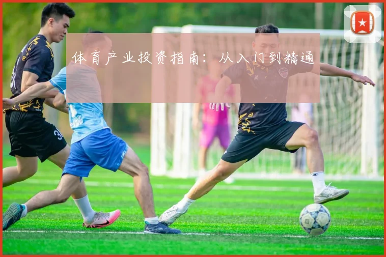 体育产业投资指南：从入门到精通